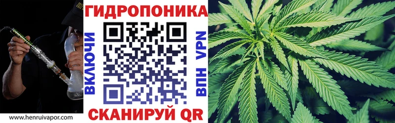 Канабис Ganja Суджа